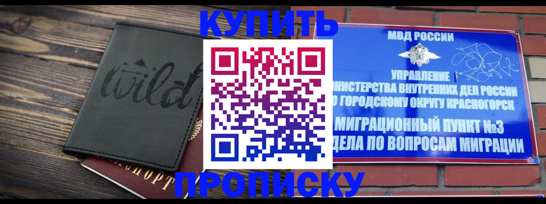 где прописаться в Мытищах
